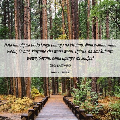 Picture 06 - Zekaria 9:13 SWHULB - Hata nimelijaza podo langu pamoja na Efraimu. - Bible Verse Picture