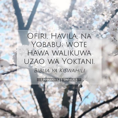 Picture 07 - 1 Nyakati 1:23 SWHULB - Ofiri, Havila, na Yobabu; wote hawa walikuwa uzao - Bible Verse Picture