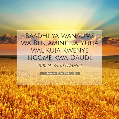 Picture 07 - 1 Nyakati 12:16 SWHULB - Baadhi ya wanaume wa Benjamini na Yuda walikuja - Bible Verse Picture