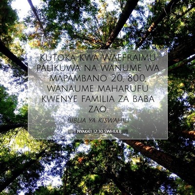Picture 07 - 1 Nyakati 12:30 SWHULB - Kutoka kwa Waefraimu palikuwa na wanume wa - Bible Verse Picture