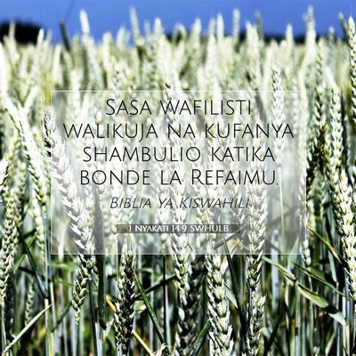 Picture 07 - 1 Nyakati 14:9 SWHULB - Sasa wafilisti walikuja na kufanya shambulio - Bible Verse Picture