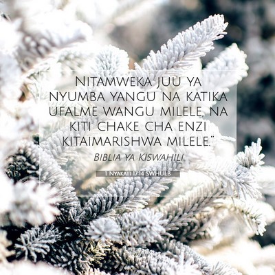 Picture 07 - 1 Nyakati 17:14 SWHULB - Nitamweka juu ya nyumba yangu na katika ufalme - Bible Verse Picture