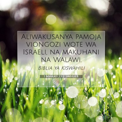 Picture 07 - 1 Nyakati 23:2 SWHULB - Aliwakusanya pamoja viongozi wote wa Israeli, na - Bible Verse Picture