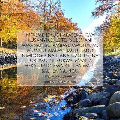 Picture 07 - 1 Nyakati 29:1 SWHULB - Mfalme Daudi akasema kwa kusanyiko lote, - Bible Verse Picture
