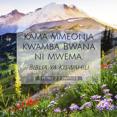 Picture 07 - 1 Petro 2:3 SWHULB - kama mmeonja kwamba Bwana ni - Bible Verse Picture