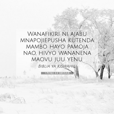 Picture 07 - 1 Petro 4:4 SWHULB - Wanafikiri ni ajabu mnapojiepusha kutenda mambo - Bible Verse Picture