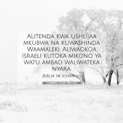 Picture 07 - 1 Samweli 14:48 SWHULB - Alitenda kwa ushujaa mkubwa na kuwashinda - Bible Verse Picture