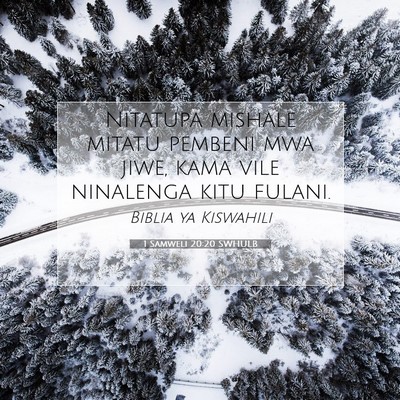 Picture 07 - 1 Samweli 20:20 SWHULB - Nitatupa mishale mitatu pembeni mwa jiwe, kama - Bible Verse Picture