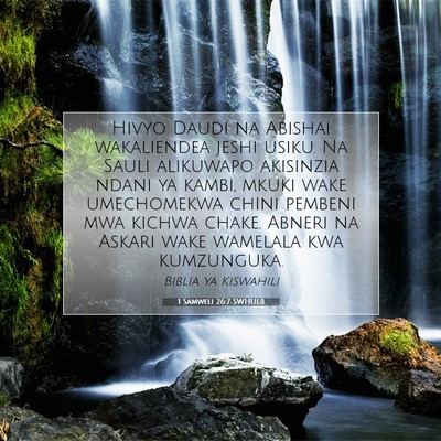 Picture 07 - 1 Samweli 26:7 SWHULB - Hivyo Daudi na Abishai wakaliendea jeshi usiku. - Bible Verse Picture