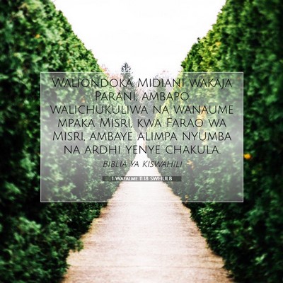 Picture 07 - 1 Wafalme 11:18 SWHULB - Waliondoka Midiani wakaja Parani, ambapo - Bible Verse Picture