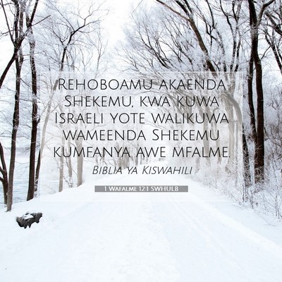 Picture 07 - 1 Wafalme 12:1 SWHULB - Rehoboamu akaenda Shekemu, kwa kuwa Israeli yote - Bible Verse Picture
