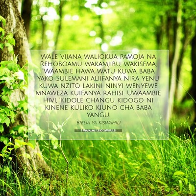 Picture 07 - 1 Wafalme 12:10 SWHULB - Wale vijana waliokua pamoja na Rehoboamu - Bible Verse Picture
