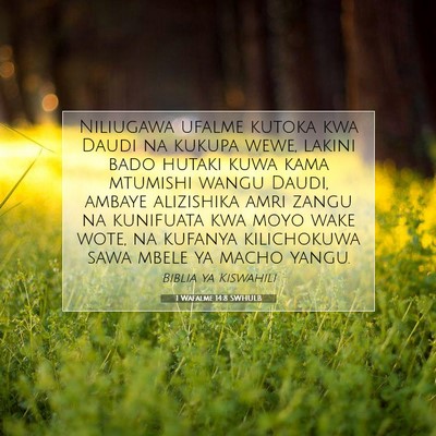 Picture 07 - 1 Wafalme 14:8 SWHULB - Niliugawa ufalme kutoka kwa Daudi na kukupa wewe, - Bible Verse Picture