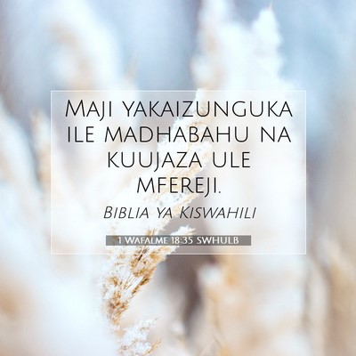 Picture 07 - 1 Wafalme 18:35 SWHULB - Maji yakaizunguka ile madhabahu na kuujaza ule - Bible Verse Picture