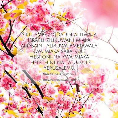Picture 07 - 1 Wafalme 2:11 SWHULB - Siku ambazo Daudi alitwala Israeli zilikuwani - Bible Verse Picture