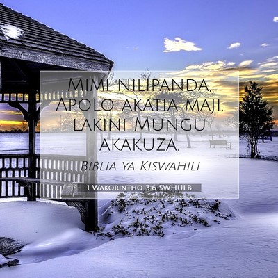 Picture 07 - 1 Wakorintho 3:6 SWHULB - Mimi nilipanda, Apolo akatia maji, lakini Mungu - Bible Verse Picture