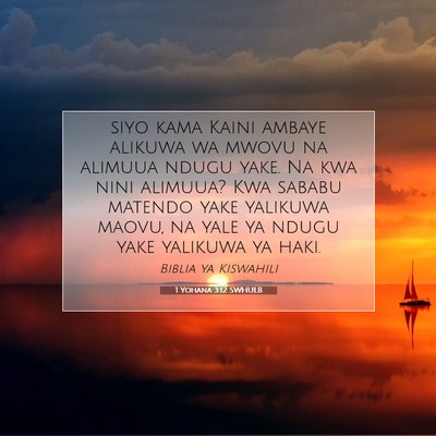Picture 07 - 1 Yohana 3:12 SWHULB - siyo kama Kaini ambaye alikuwa wa mwovu na - Bible Verse Picture