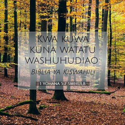 Picture 07 - 1 Yohana 5:7 SWHULB - Kwa kuwa kuna watatu - Bible Verse Picture