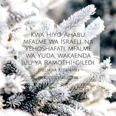Picture 07 - 2 Nyakati 18:28 SWHULB - Kwa hiyo Ahabu, mfalme wa Israeli, na - Bible Verse Picture