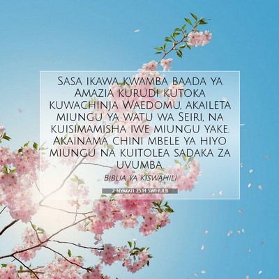 Picture 07 - 2 Nyakati 25:14 SWHULB - Sasa ikawa kwamba baada ya Amazia kurudi kutoka - Bible Verse Picture