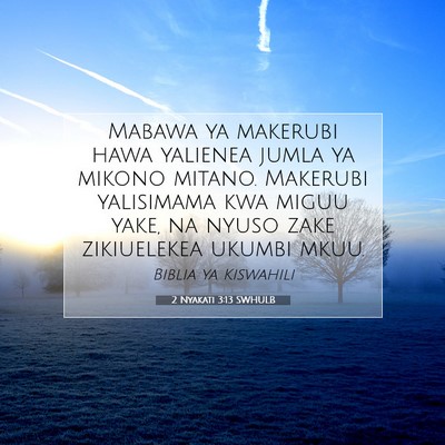Picture 07 - 2 Nyakati 3:13 SWHULB - Mabawa ya makerubi hawa yalienea jumla ya mikono - Bible Verse Picture