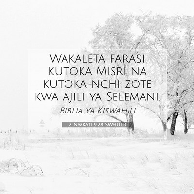Picture 07 - 2 Nyakati 9:28 SWHULB - Wakaleta farasi kutoka Misri na kutoka nchi zote - Bible Verse Picture