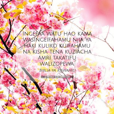 Picture 07 - 2 Petro 2:21 SWHULB - Ingefaa watu hao kama wasingeifahamu njia ya haki - Bible Verse Picture