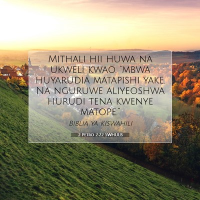 Picture 07 - 2 Petro 2:22 SWHULB - Mithali hii huwa na ukweli kwao. “mbwa - Bible Verse Picture