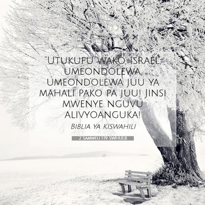 Picture 07 - 2 Samweli 1:19 SWHULB - “Utukufu wako, Israel, umeondolewa, umeondolewa - Bible Verse Picture