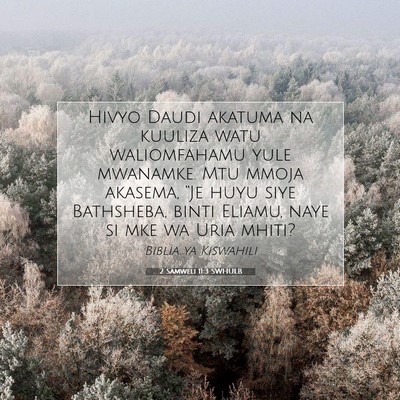 Picture 07 - 2 Samweli 11:3 SWHULB - Hivyo Daudi akatuma na kuuliza watu waliomfahamu - Bible Verse Picture
