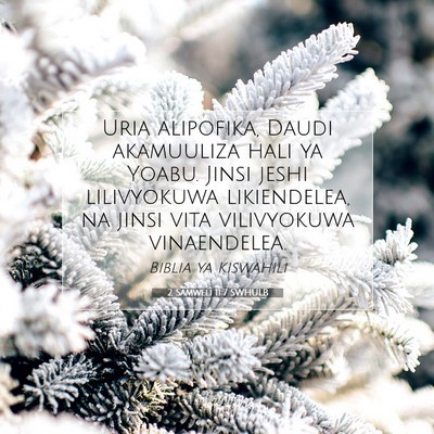 Picture 07 - 2 Samweli 11:7 SWHULB - Uria alipofika, Daudi akamuuliza hali ya Yoabu. - Bible Verse Picture