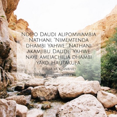 Picture 07 - 2 Samweli 12:13 SWHULB - Ndipo Daudi alipomwambia Nathani, “Nimemtenda - Bible Verse Picture