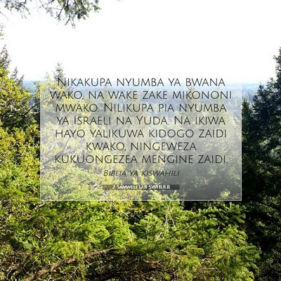 Picture 07 - 2 Samweli 12:8 SWHULB - Nikakupa nyumba ya bwana wako, na wake zake - Bible Verse Picture