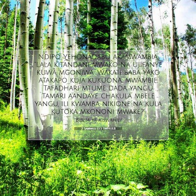 Picture 07 - 2 Samweli 13:5 SWHULB - Ndipo Yehonadabu akamwambia, “Lala kitandani - Bible Verse Picture