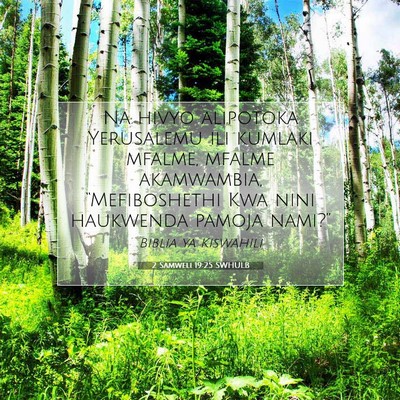 Picture 07 - 2 Samweli 19:25 SWHULB - Na hivyo alipotoka Yerusalemu ili kumlaki mfalme, - Bible Verse Picture