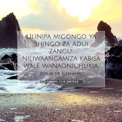 Picture 07 - 2 Samweli 22:41 SWHULB - Ulinipa migongo ya shingo za adui zangu; - Bible Verse Picture