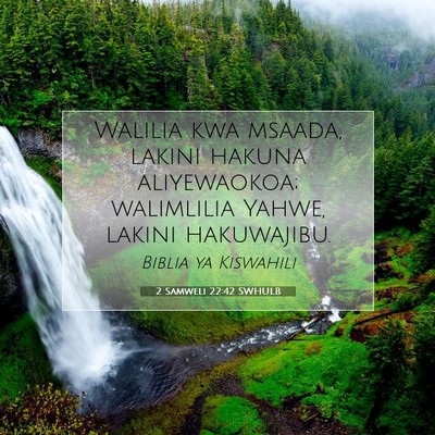 Picture 07 - 2 Samweli 22:42 SWHULB - Walilia kwa msaada, lakini hakuna aliyewaokoa; - Bible Verse Picture