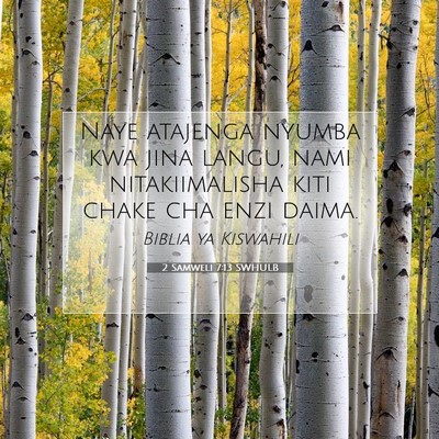 Picture 07 - 2 Samweli 7:13 SWHULB - Naye atajenga nyumba kwa jina langu, nami - Bible Verse Picture