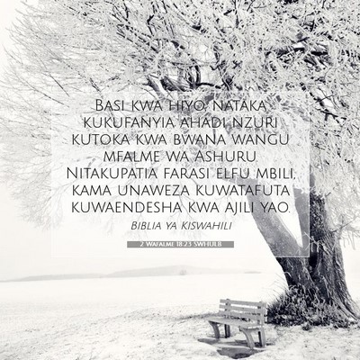 Picture 07 - 2 Wafalme 18:23 SWHULB - Basi kwa hiyo, nataka kukufanyia ahadi nzuri - Bible Verse Picture