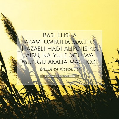 Picture 07 - 2 Wafalme 8:11 SWHULB - Basi Elisha akamtumbulia macho Hazaeli hadi - Bible Verse Picture