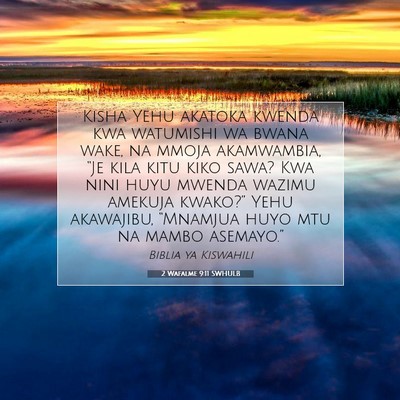 Picture 07 - 2 Wafalme 9:11 SWHULB - Kisha Yehu akatoka kwenda kwa watumishi wa bwana - Bible Verse Picture