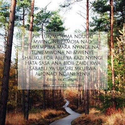 Picture 07 - 2 Wakorintho 8:22 SWHULB - Pia tunamtuma ndugu mwingine pamoja nao. - Bible Verse Picture
