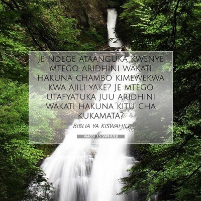 Picture 07 - Amosi 3:5 SWHULB - Je ndege ataanguka kwenye mtego aridhini wakati - Bible Verse Picture