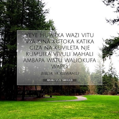 Picture 07 - Ayubu 12:22 SWHULB - Yeye huweka wazi vitu vya kina kutoka katika giza - Bible Verse Picture