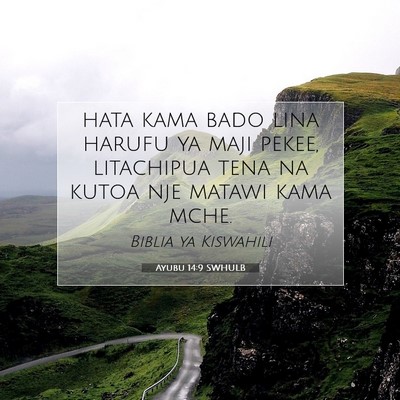 Picture 07 - Ayubu 14:9 SWHULB - hata kama bado lina harufu ya maji pekee, - Bible Verse Picture