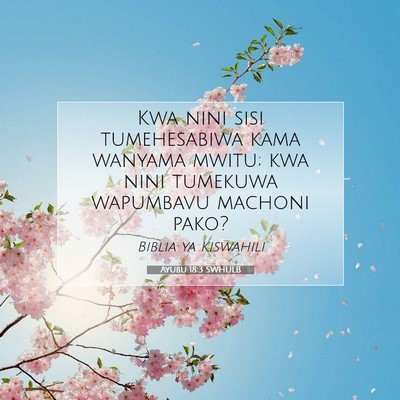 Picture 07 - Ayubu 18:3 SWHULB - Kwa nini sisi tumehesabiwa kama wanyama mwitu; - Bible Verse Picture