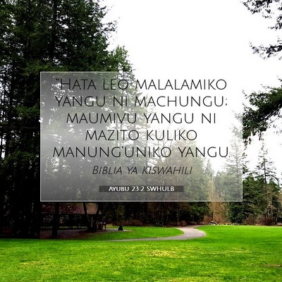 Picture 07 - Ayubu 23:2 SWHULB - “Hata leo malalamiko yangu ni machungu; maumivu - Bible Verse Picture