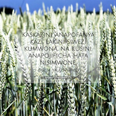 Picture 07 - Ayubu 23:9 SWHULB - Kaskazini, anapofanya kazi, lakini siwezi - Bible Verse Picture