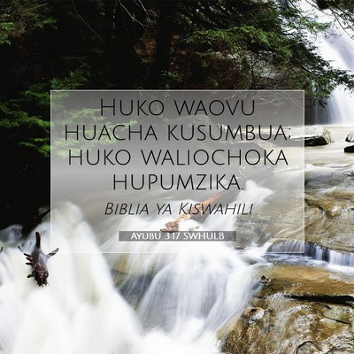 Picture 07 - Ayubu 3:17 SWHULB - Huko waovu huacha kusumbua; huko waliochoka - Bible Verse Picture