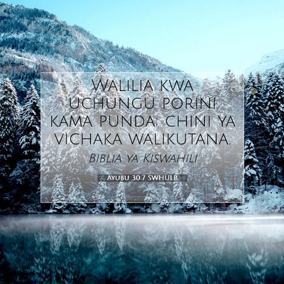 Picture 07 - Ayubu 30:7 SWHULB - Walilia kwa uchungu porini kama punda; chini ya - Bible Verse Picture